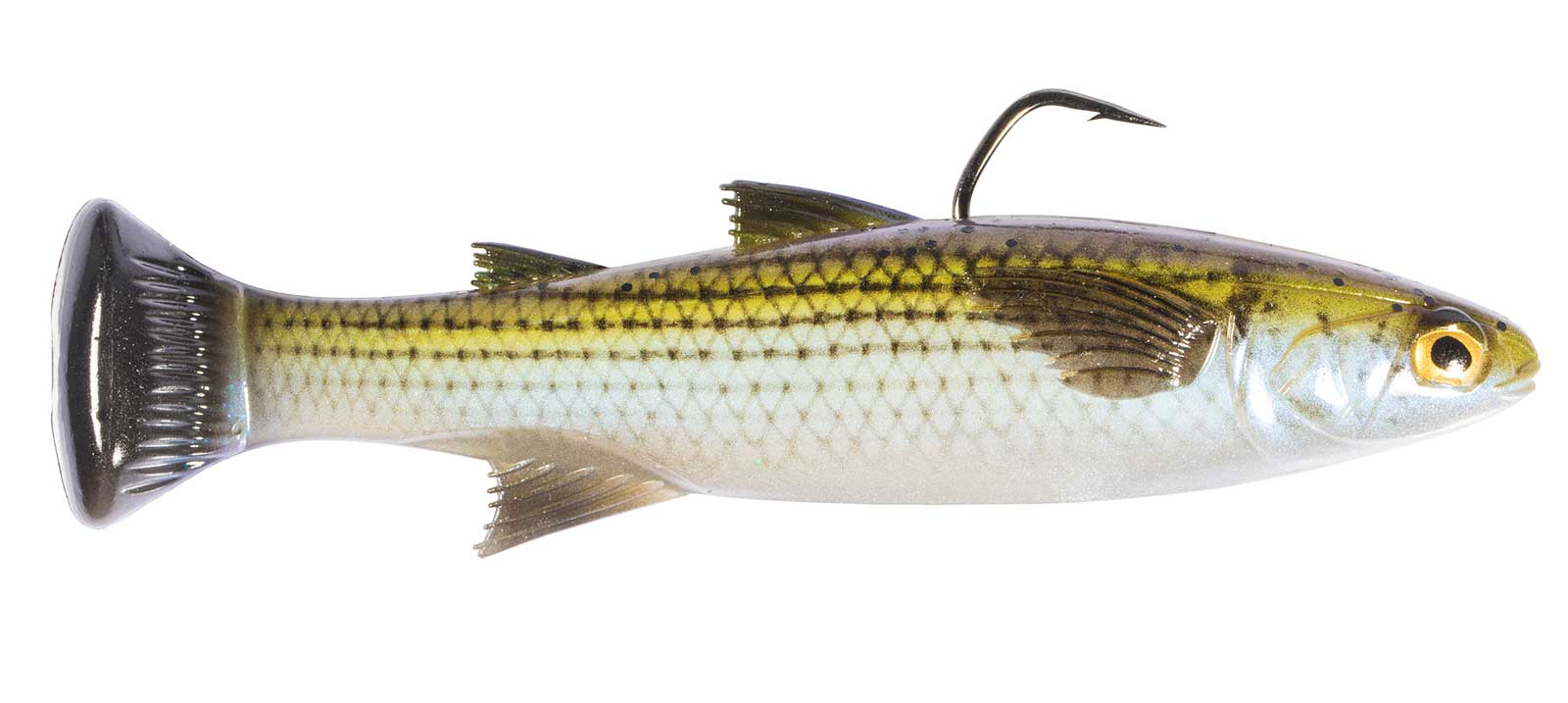 Mulletron LT (Line-Through) Swimbait by Z-Man Fishing Products